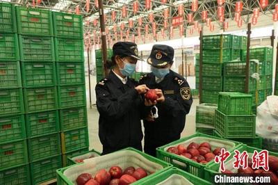 兰州海关多措并举促甘肃农产品扩大出口