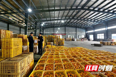 组图丨长沙海关优服务助力特色农产品柑橘出口