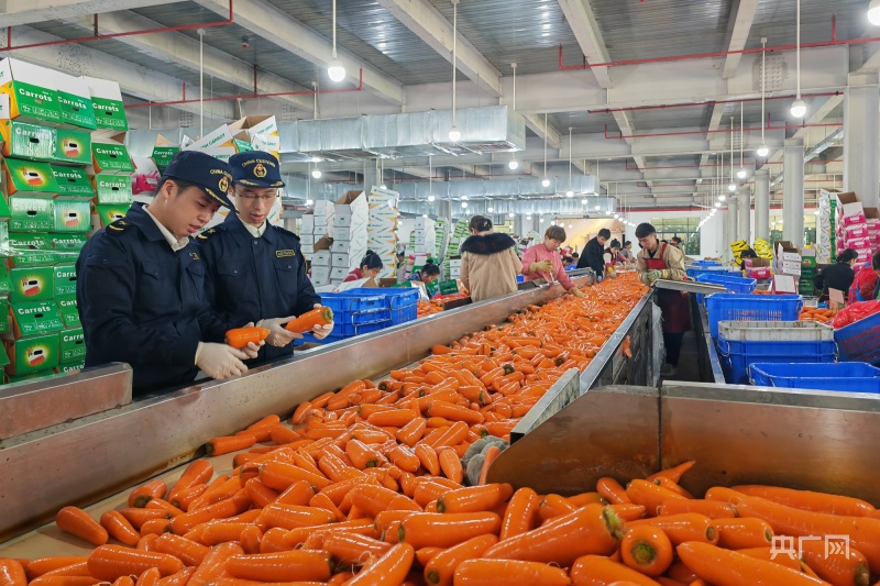 去年广东农产品进出口规模居全国首位 对外开放与转型升级双向驱动