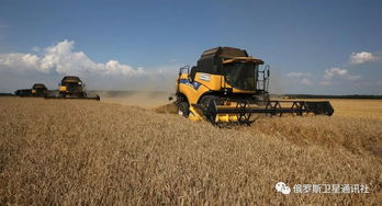 俄罗斯扩大对华农产品出口 机遇与挑战