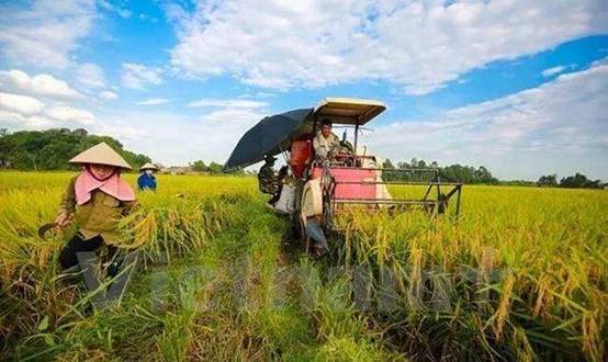 越南立志跻身全球十大农业中心，网友质疑 农产品出口之路任重道远